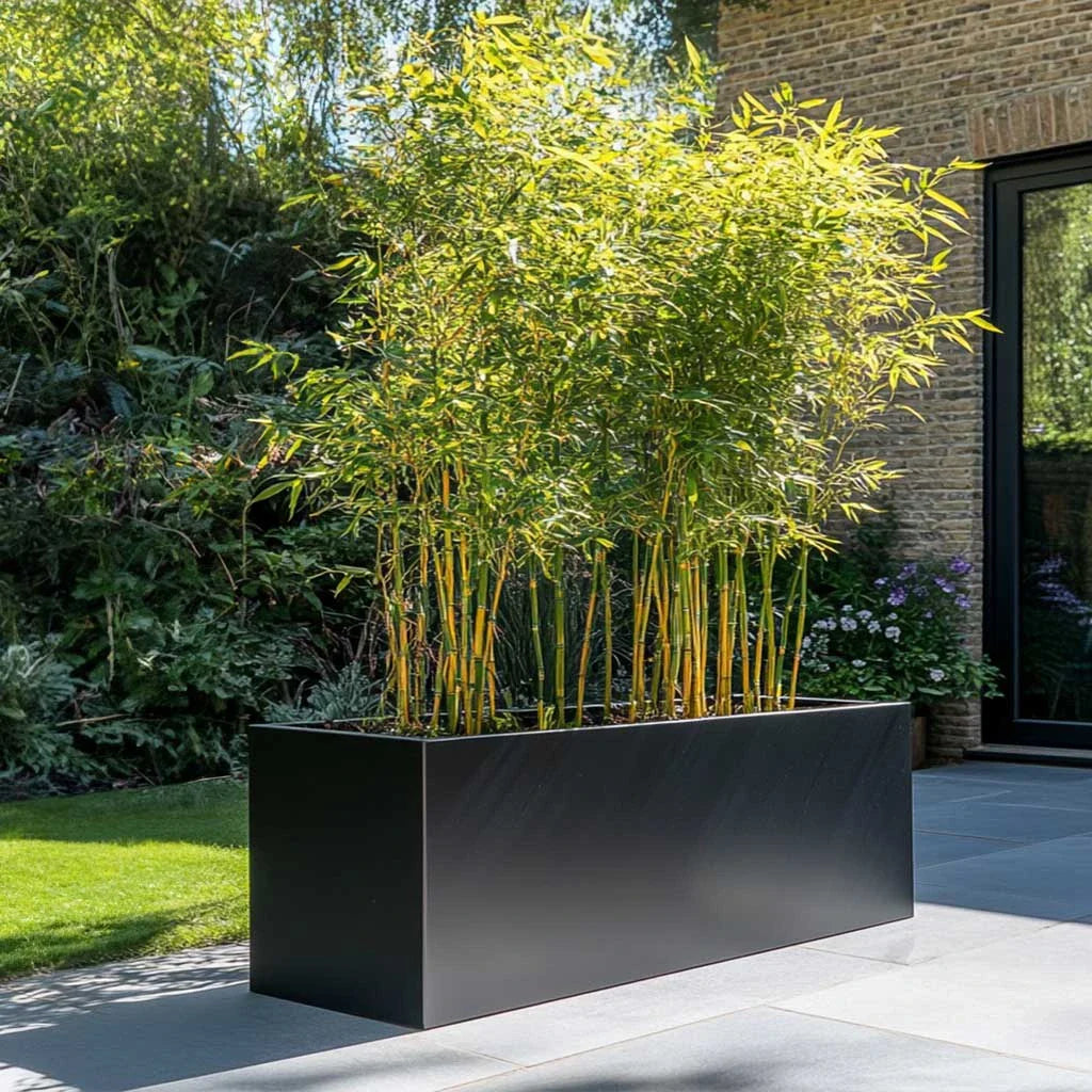 100cm Matte Black Zinc Trough Planter by sabodaj